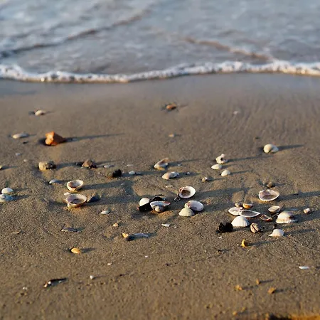 Welcoming Flat Next To The Sea For Up To 6 Guests * Bibione